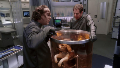 Phlox and Archer try to cure Porthos, who floats in a tank in sickbay